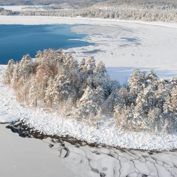 Фотография 4 - Отдых в Карелии